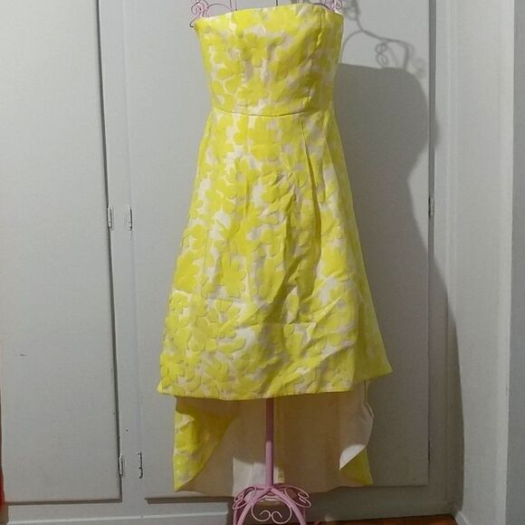 Beautiful Silk Dress - Picture 1 of 7